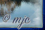 Nine