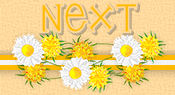 &copy mjc Next